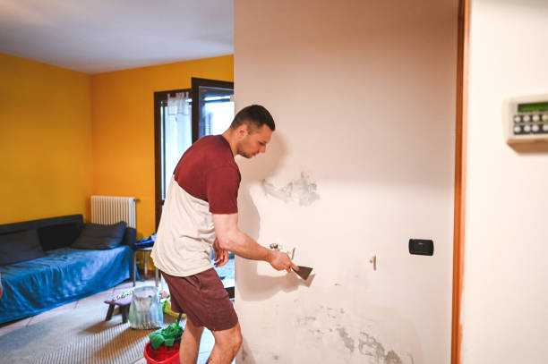 Best Home Mold Removal  in Jesup, IA